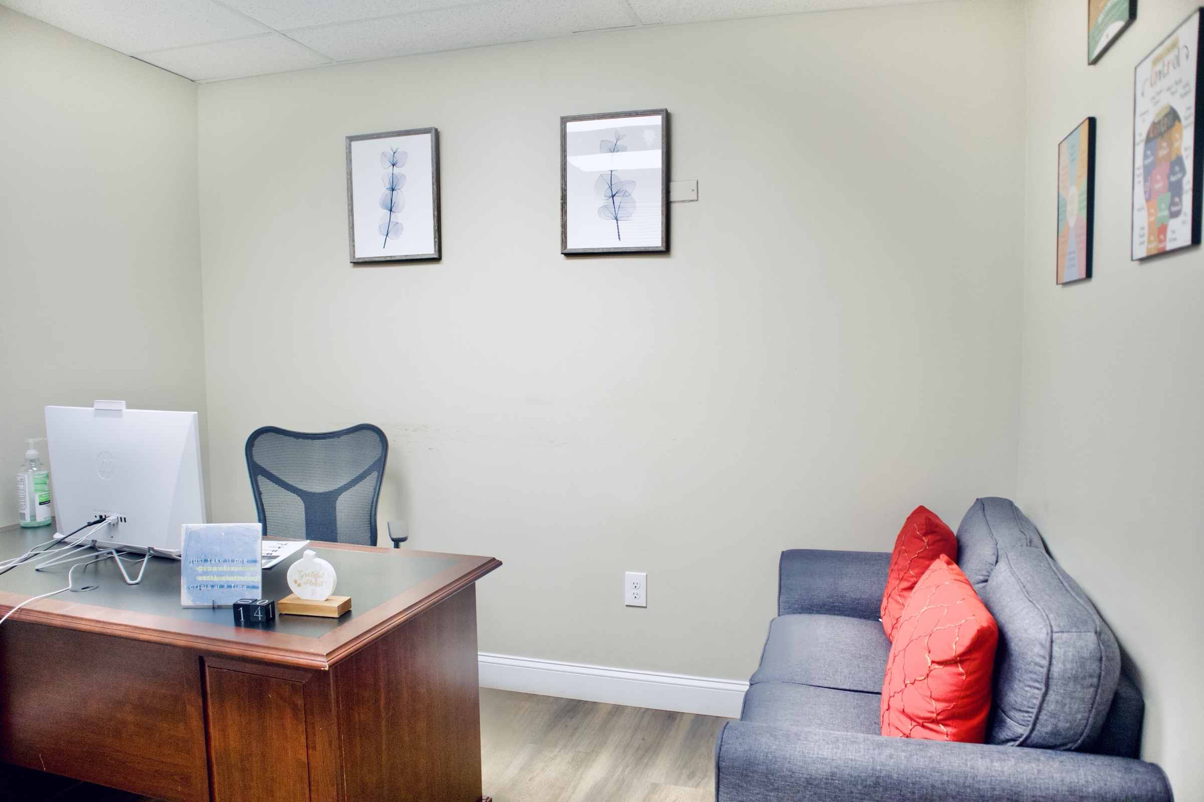 A consulting room at the Temah practice in Cockeysville